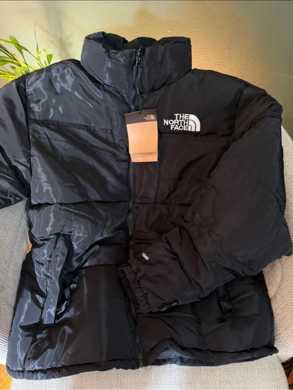 The North Face Black Men’s Puffer Jacket - Classic Insulated Parka